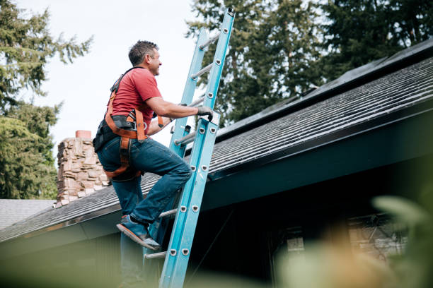 Best Roof Moss and Algae Removal  in Fowlkes, TN